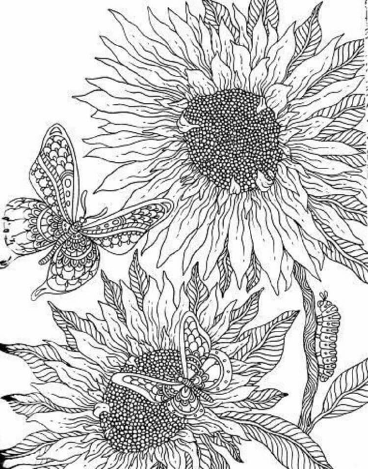 Fise de Colorat cu Fluture Cu Floarea Soarelui Descărcați imprimați