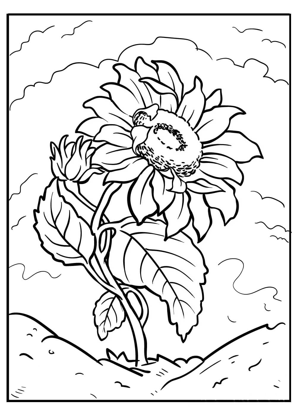 Fise de Colorat cu Desen Floarea Soarelui Descărcați imprimați sau colorați online gratuit