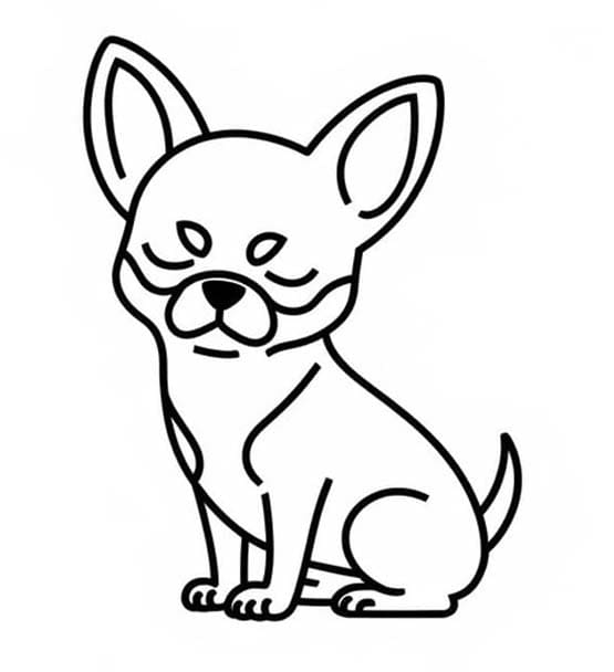 Chihuahua gratuit imprimabile pentru copii Fise de colorat cu Chihuahua gratuit imprimabile pentru copii