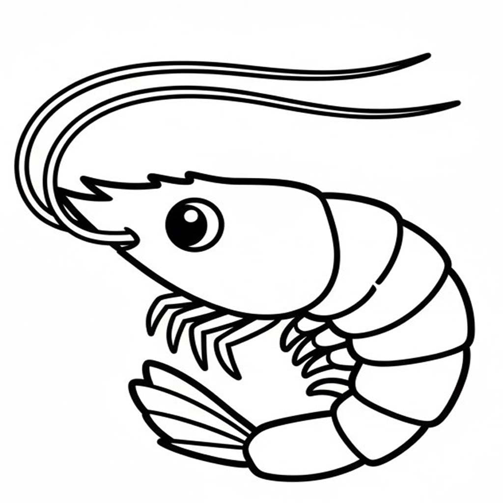 Desenează Creveți bazic la copii Fise de colorat cu Desenează Creveți bazic la copii