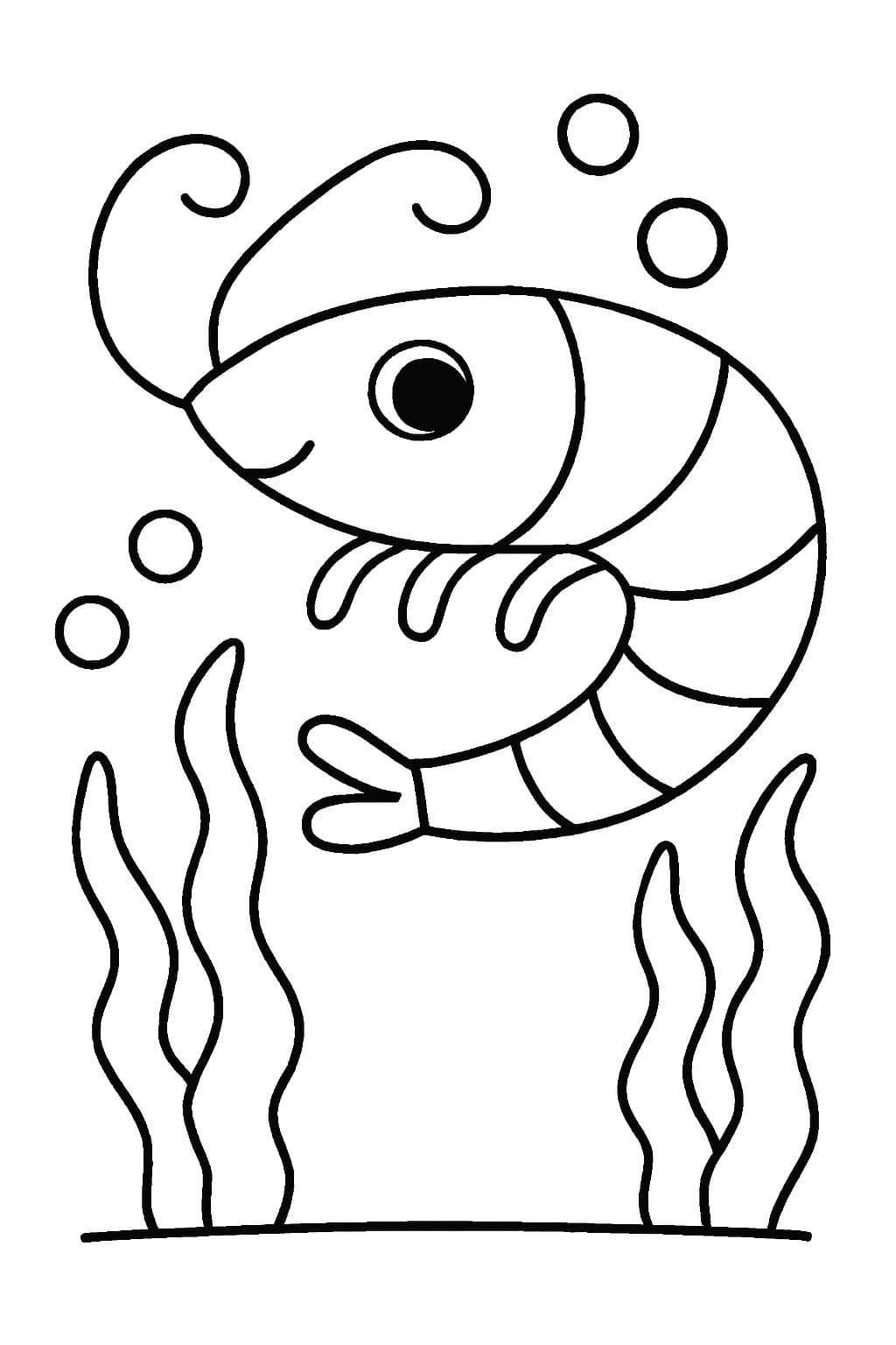 Desenează Creveți gratuit imprimabil bazic Fise de colorat cu Desenează Creveți gratuit imprimabil bazic