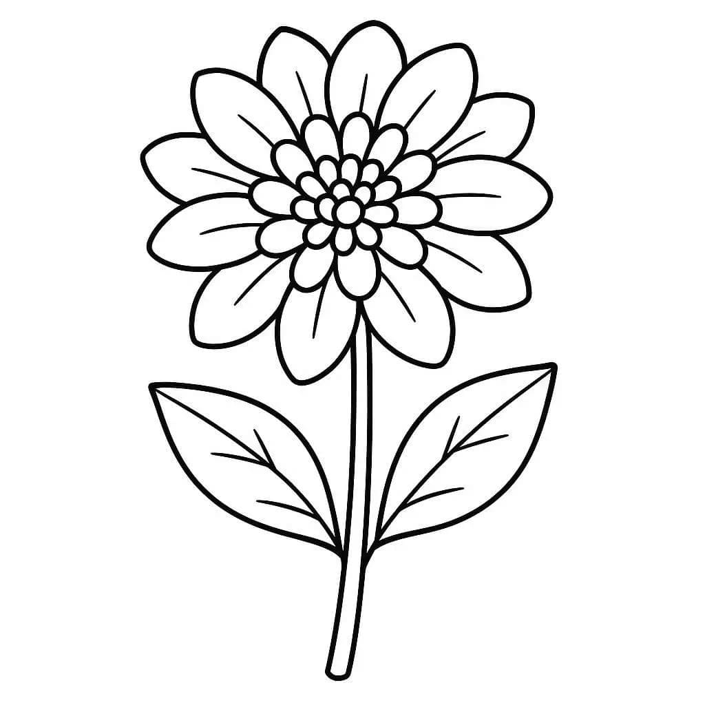 Fise de colorat cu Dalie imprimabil pentru copii