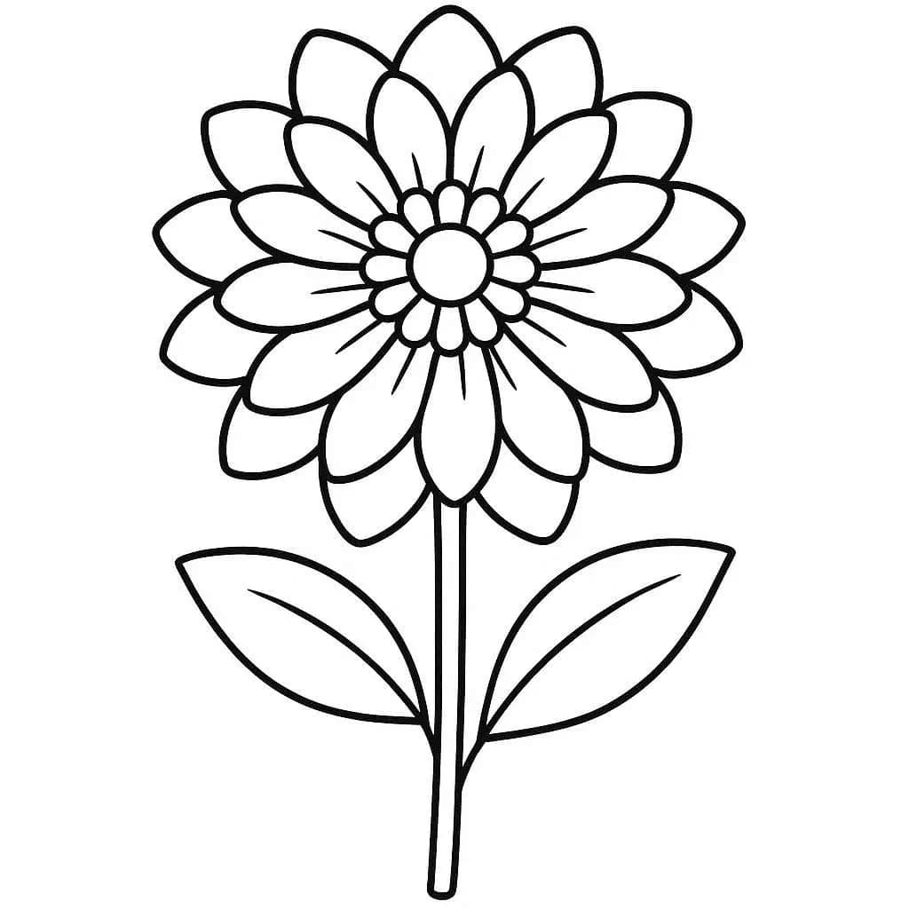 Fise de colorat cu Dalie imprimabil simplu