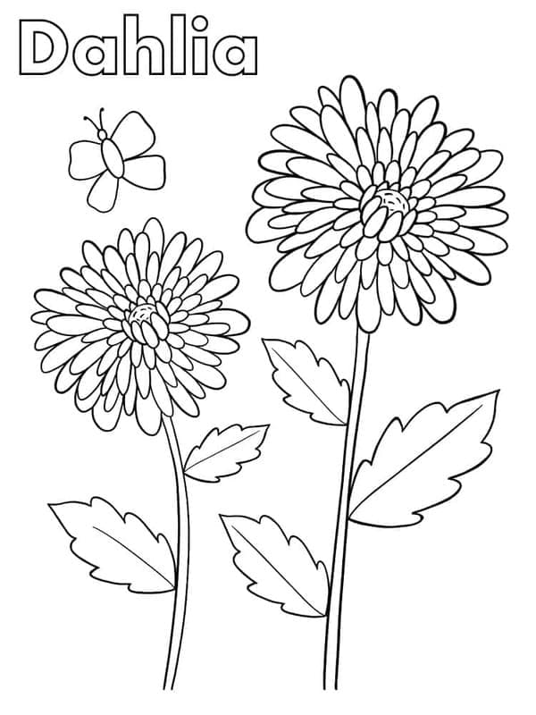 Fise de colorat cu Dalie imprimabil
