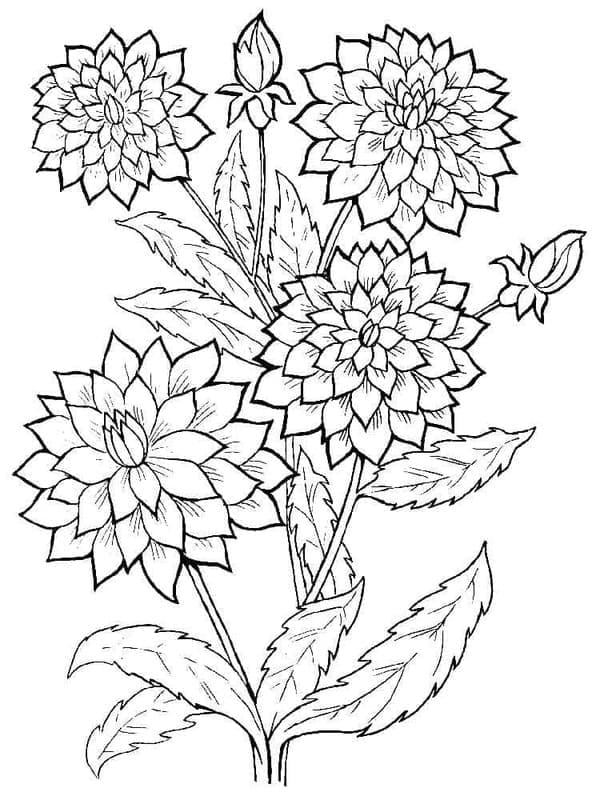 Fise de colorat cu Dalie pentru copii