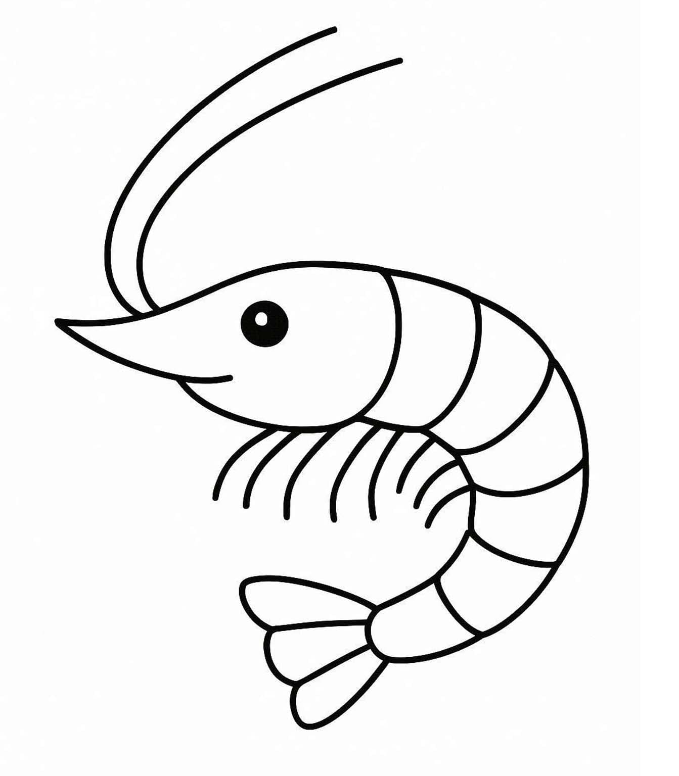 Fise de colorat cu Desenează Crevetă imprimabil uşor