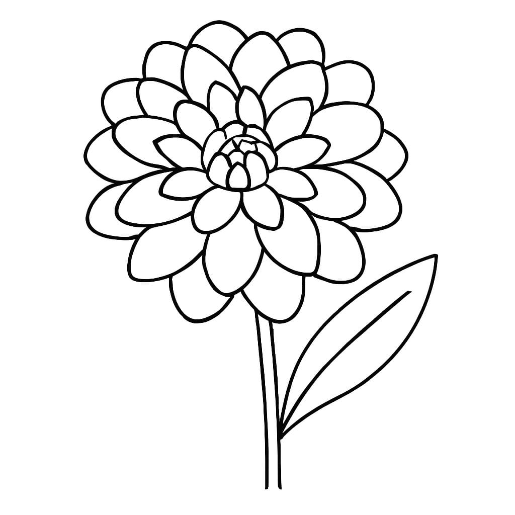 Fise de colorat cu Desenează Dalie 4