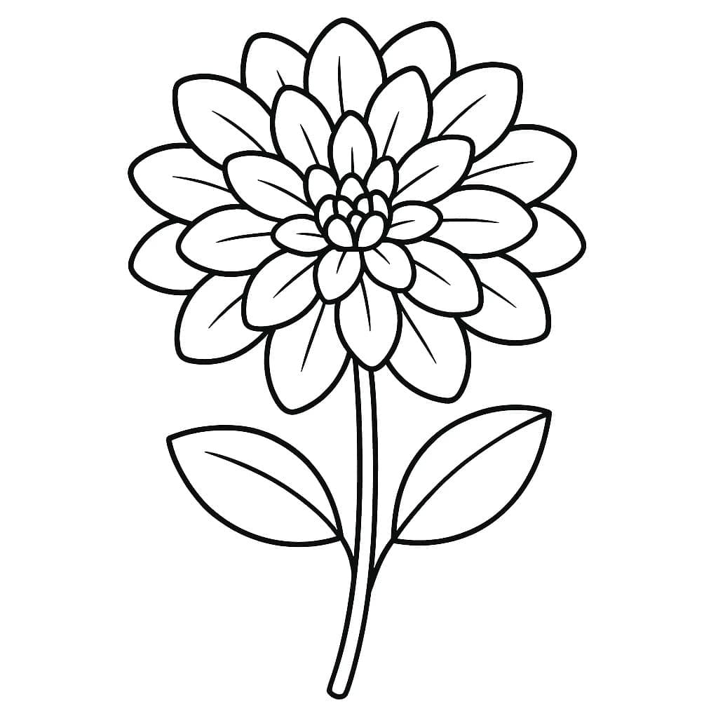 Fise de colorat cu Desenează Dalie bazic