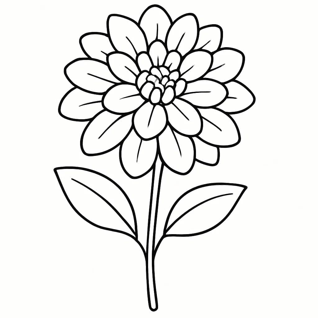 Fise de colorat cu Desenează Dalie imprimabil gratuit uşor