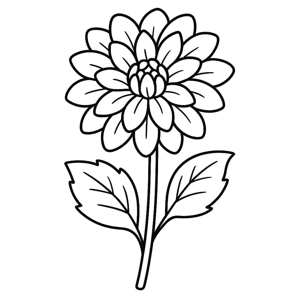 Fise de colorat cu Desenează Dalie imprimabil pentru copii