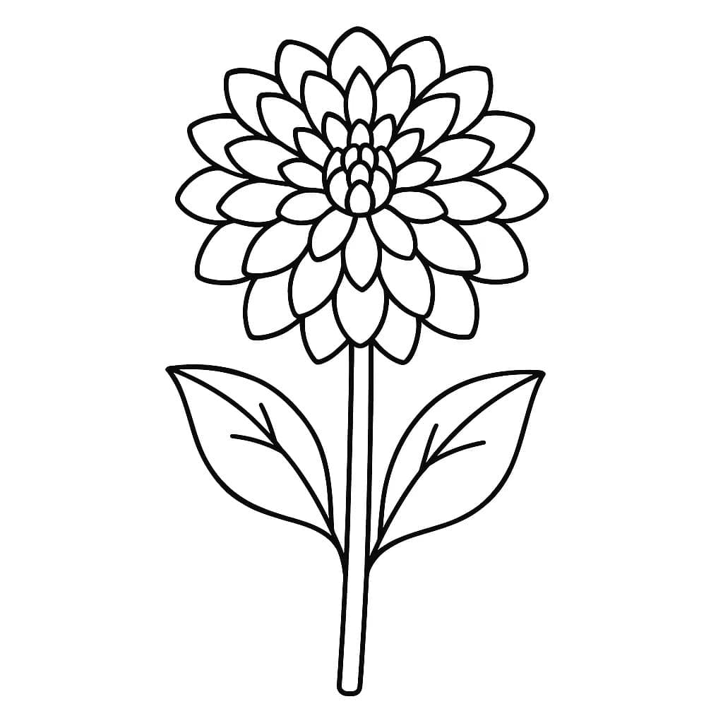 Fise de colorat cu Desenează Dalie uşor