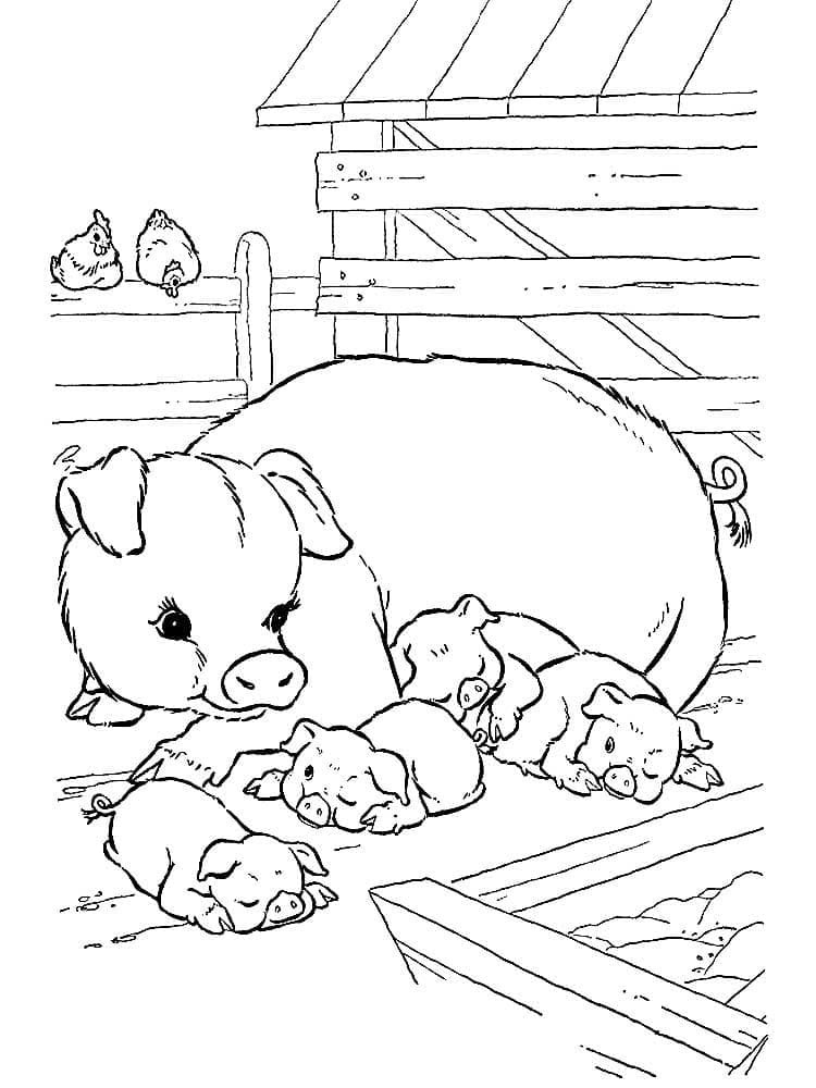 Fise de colorat cu Desenează Fermă bazic gratuit imprimabile