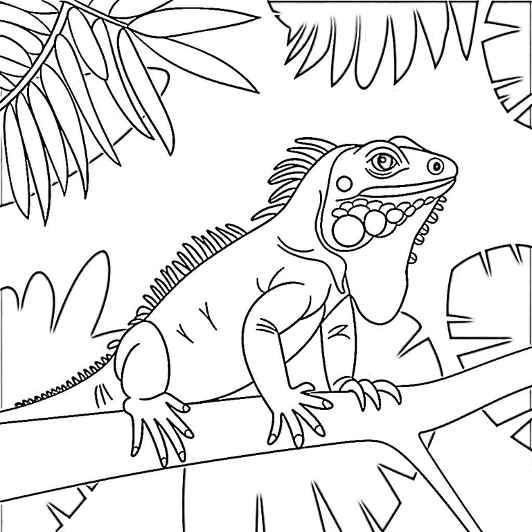 Fise de colorat cu Desenează Iguană gratuit simplu