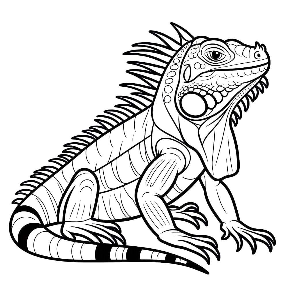 Fise de colorat cu Desenează Iguană imprimabil uşor