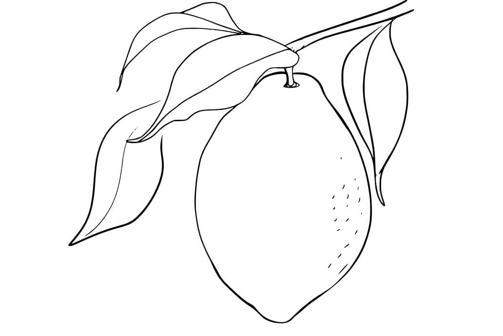 Fise de colorat cu Desenează Lămâie imprimabil