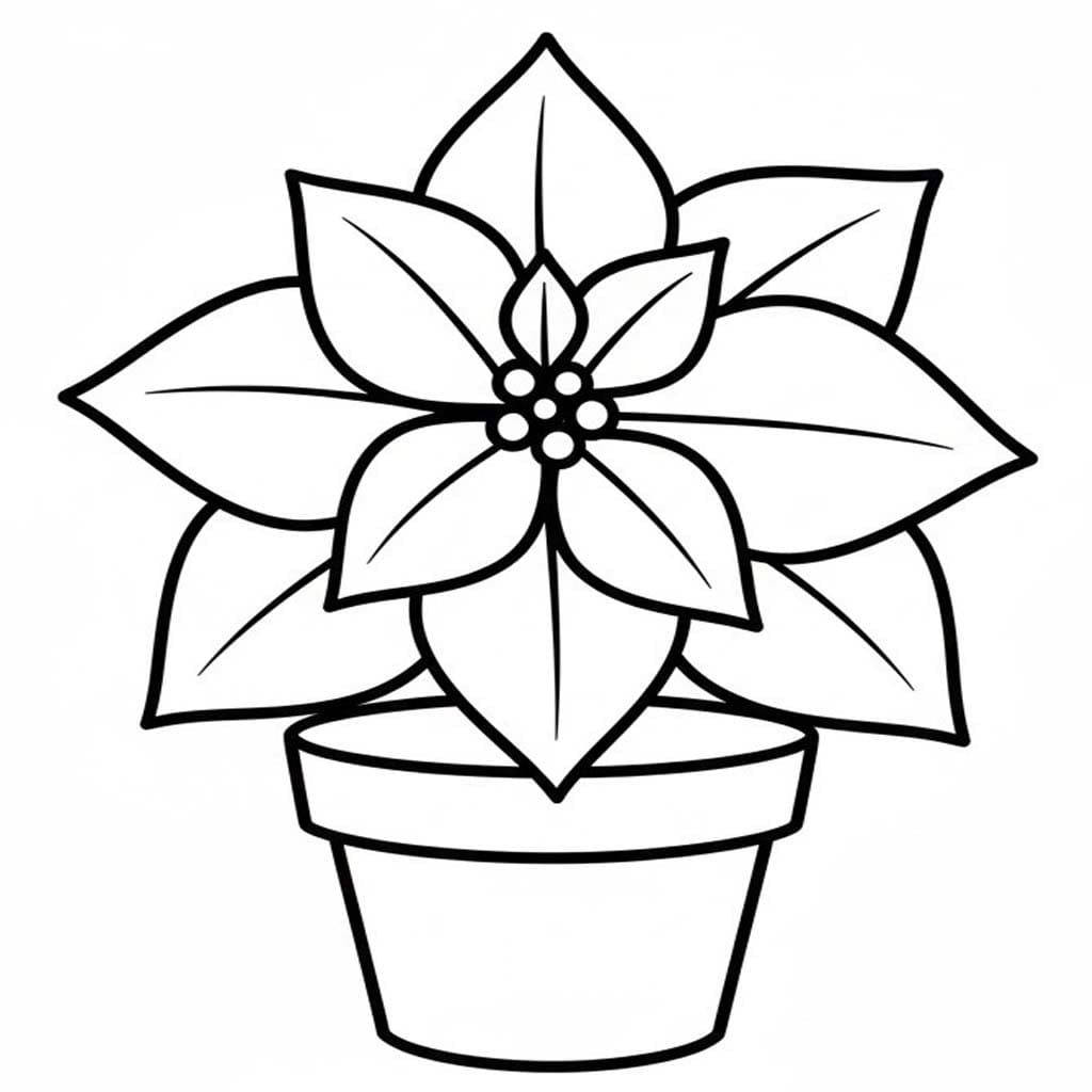 Fise de colorat cu Desenează Poinsettia 2