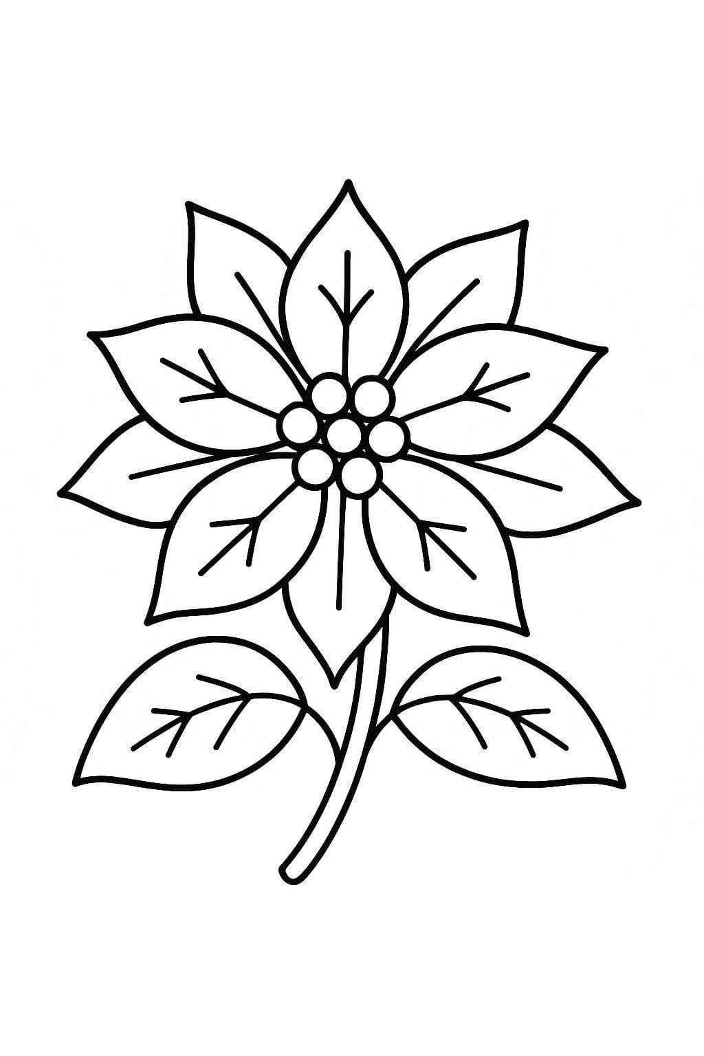 Fise de colorat cu Desenează Poinsettia 3