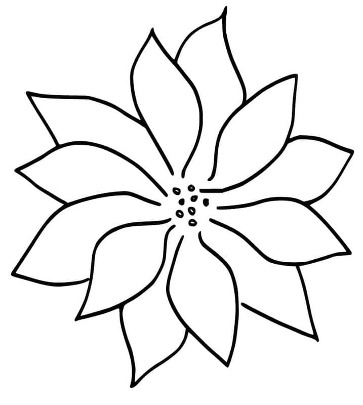 Fise de colorat cu Desenează Poinsettia imprimabil simplu