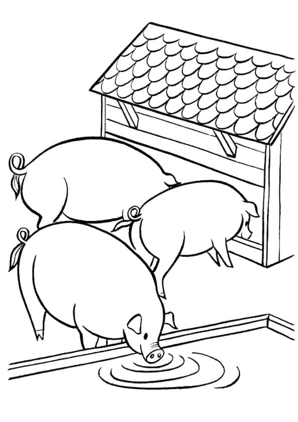 Fise de colorat cu Fermă simplu imprimabile