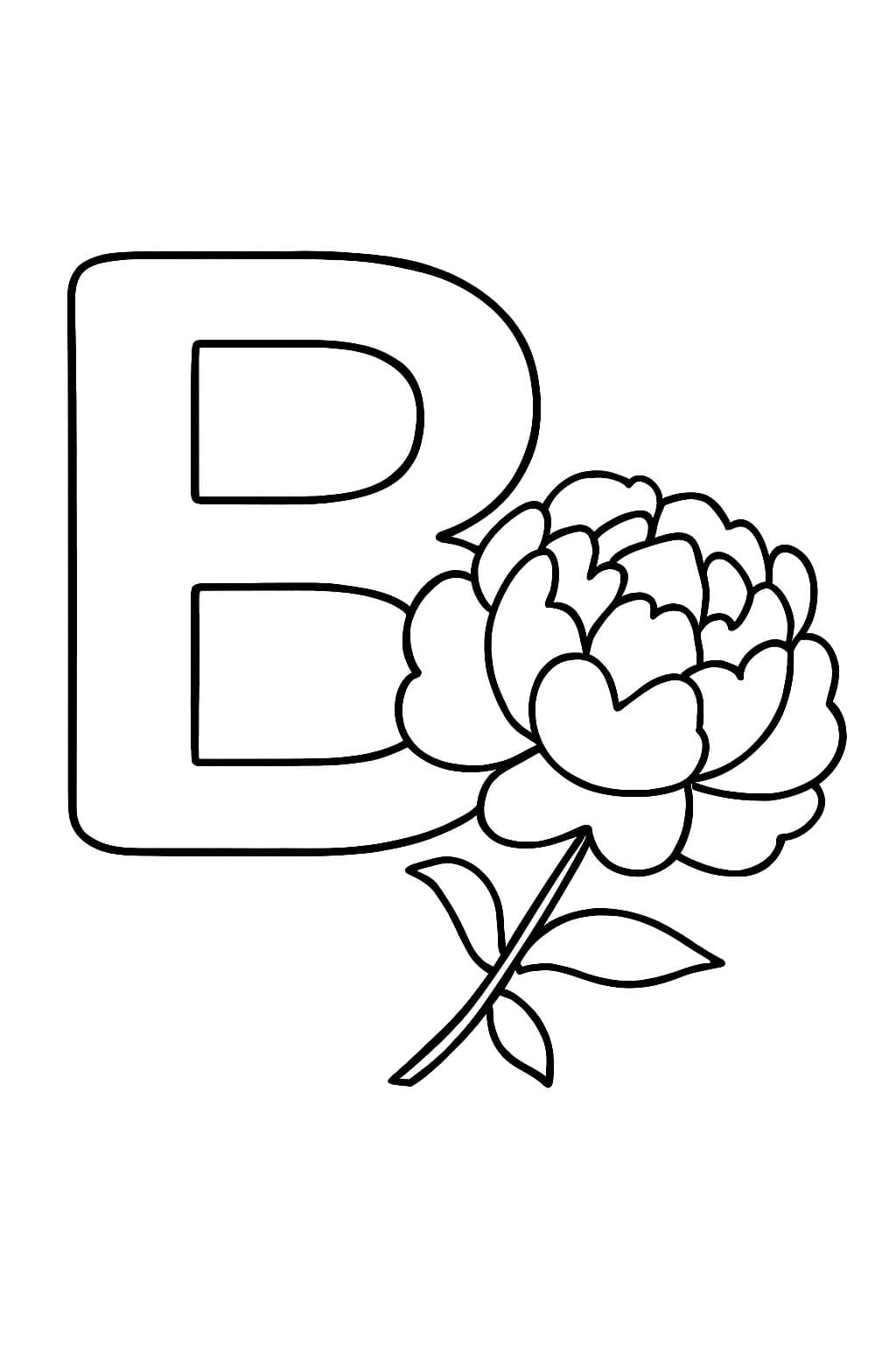 Fise de colorat cu Litera B este pentru Bujor