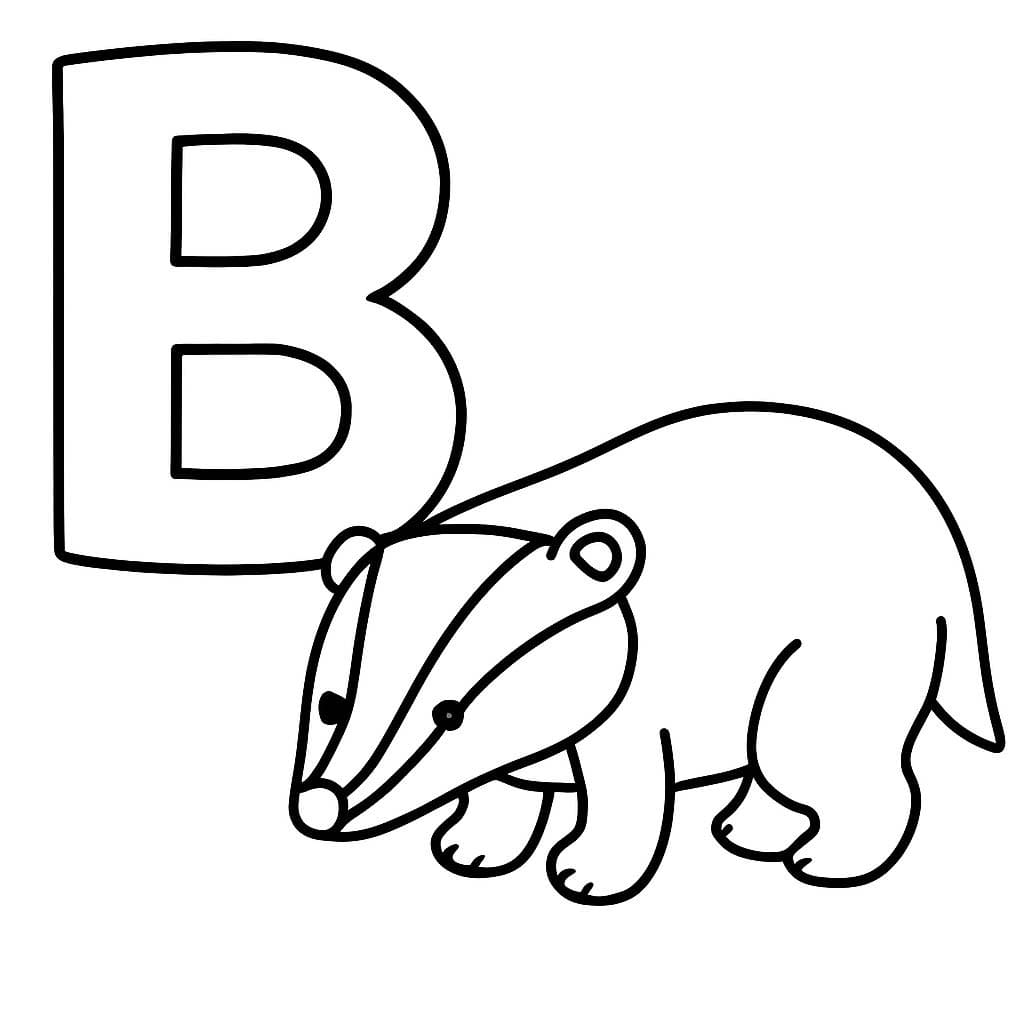 Fise de colorat cu Litera B este pentru Bursuc