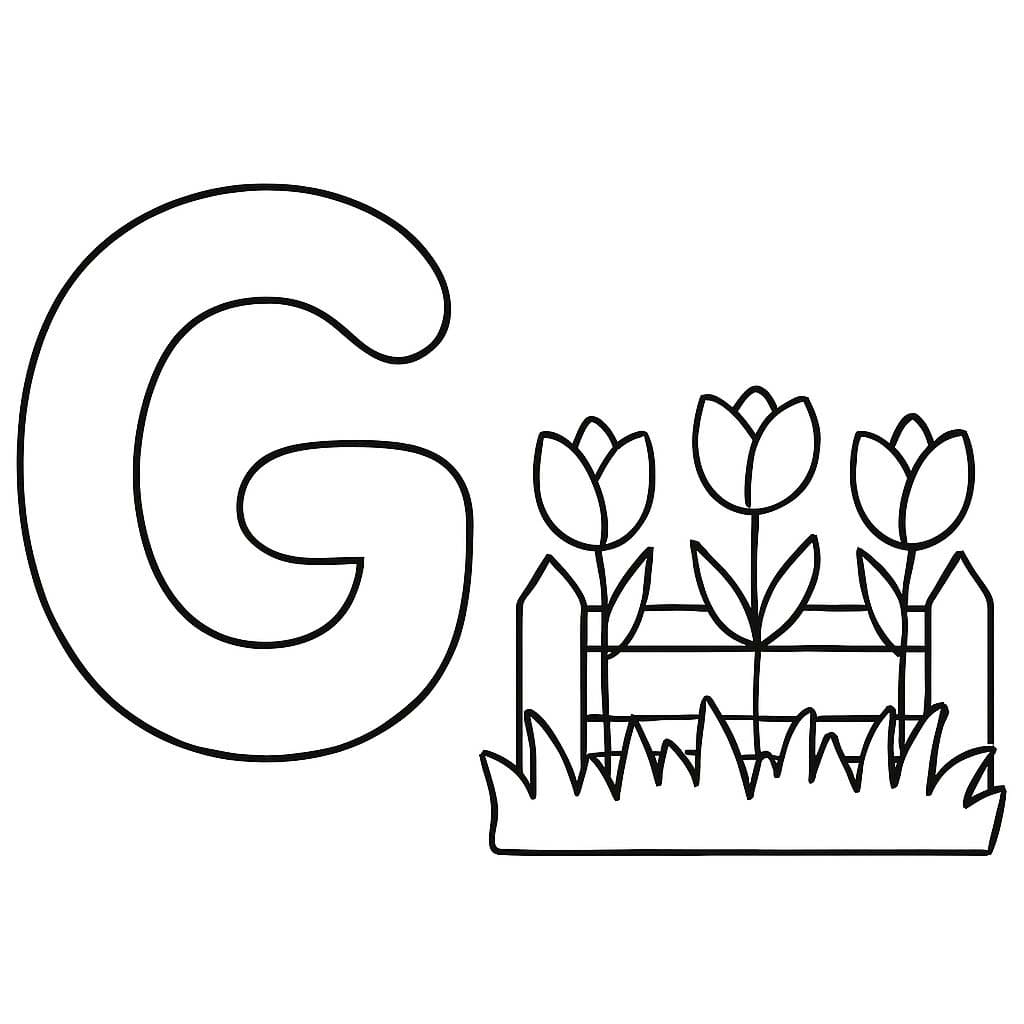 Fise de colorat cu Litera G este pentru Grădină