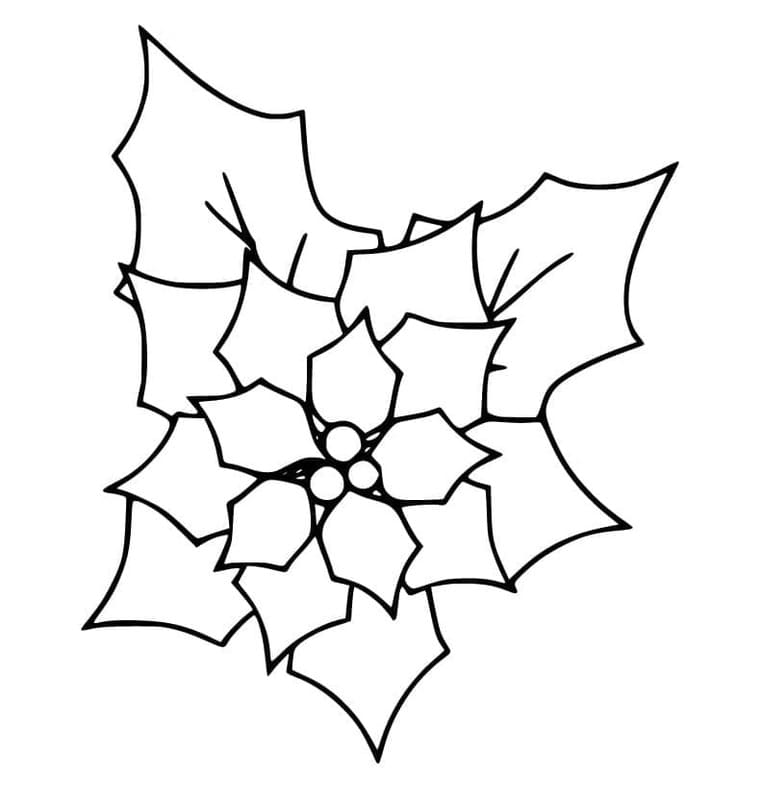 Fise de colorat cu Poinsettia imprimabil bazic