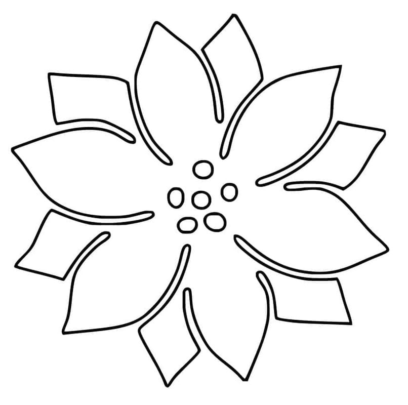 Fise de colorat cu Poinsettia imprimabil simplu