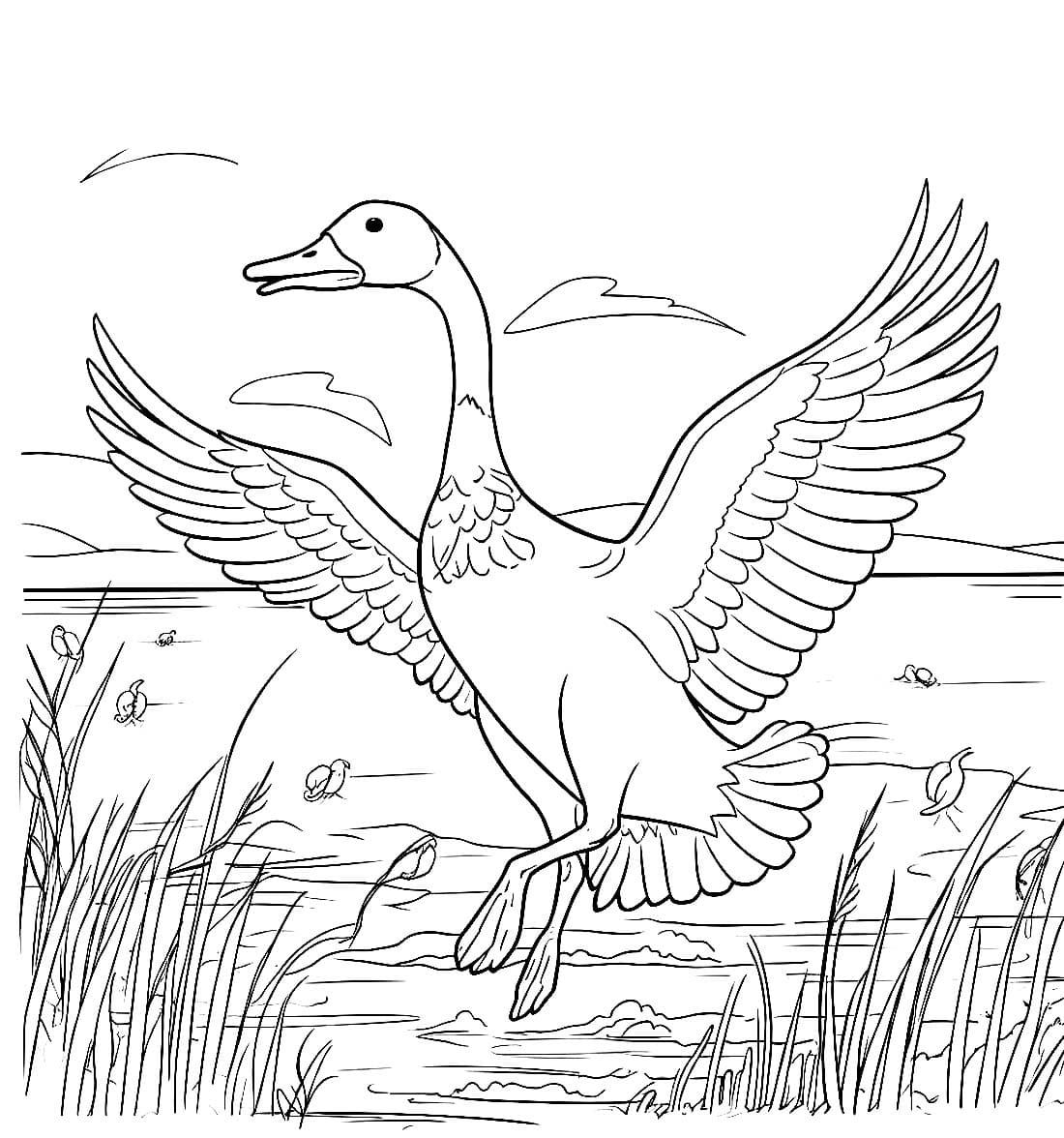 Fise de Colorat cu Desenează Gaste imprimabil uşor