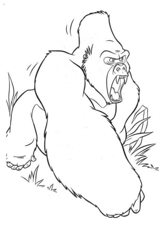 Fise de colorat cu Desenează Gorila imprimabil bazic