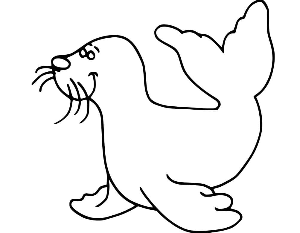 Fise de colorat cu Desenează Leu de Mare imprimabil bazic