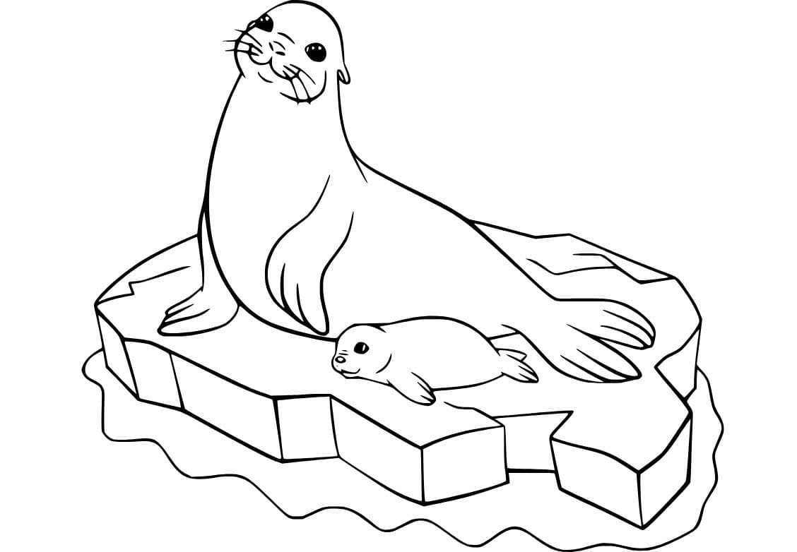 Fise de colorat cu Desenează Leu de Mare imprimabil gratuit uşor