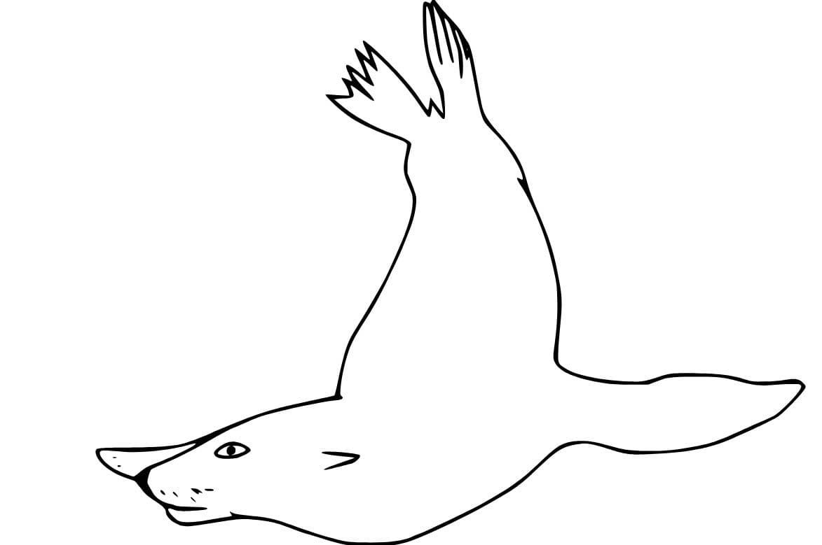 Fise de colorat cu Desenează Leu de Mare imprimabil uşor