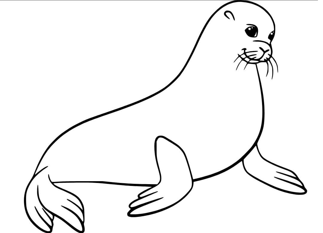 Fise de colorat cu Desenează Leu de Mare la copii