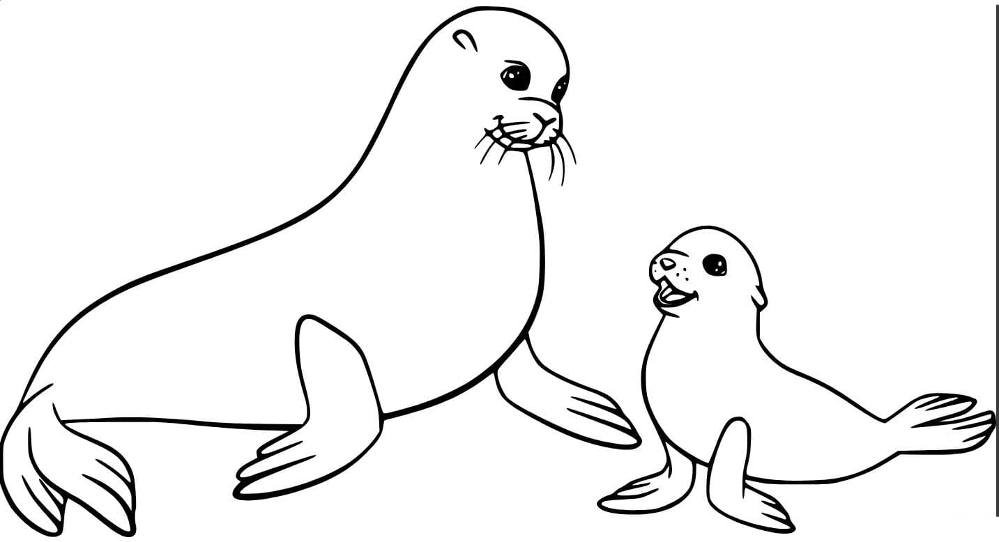 Fise de colorat cu Desenează Leu de Mare pentru copii