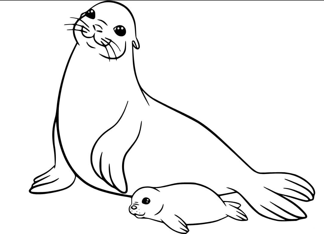 Fise de colorat cu Desenează Leu de Mare simplu la copii