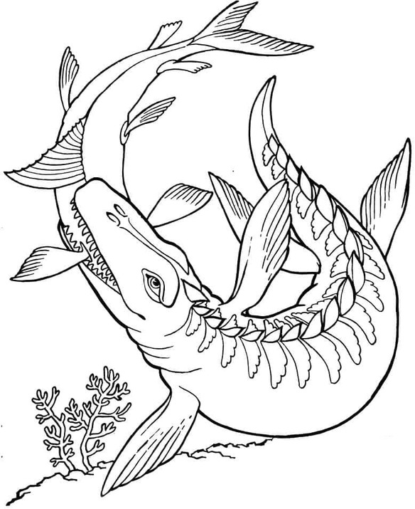 Fise de colorat cu Desenează Mosasaurus gratuit uşor