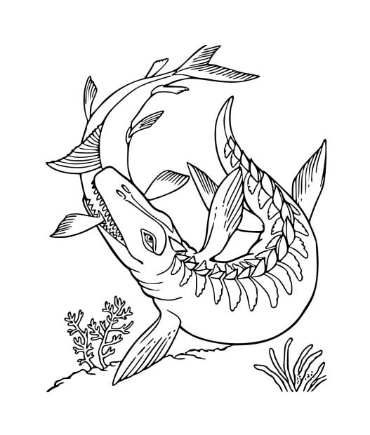 Fise de colorat cu Desenează Mosasaurus simplu