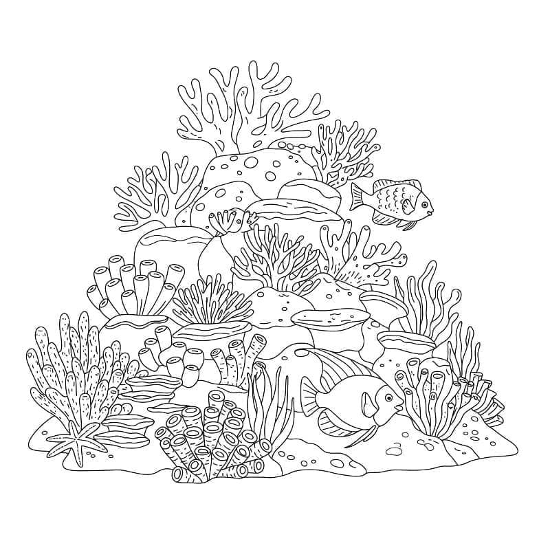 Fise de colorat cu Desenează Recif de corali gratuit