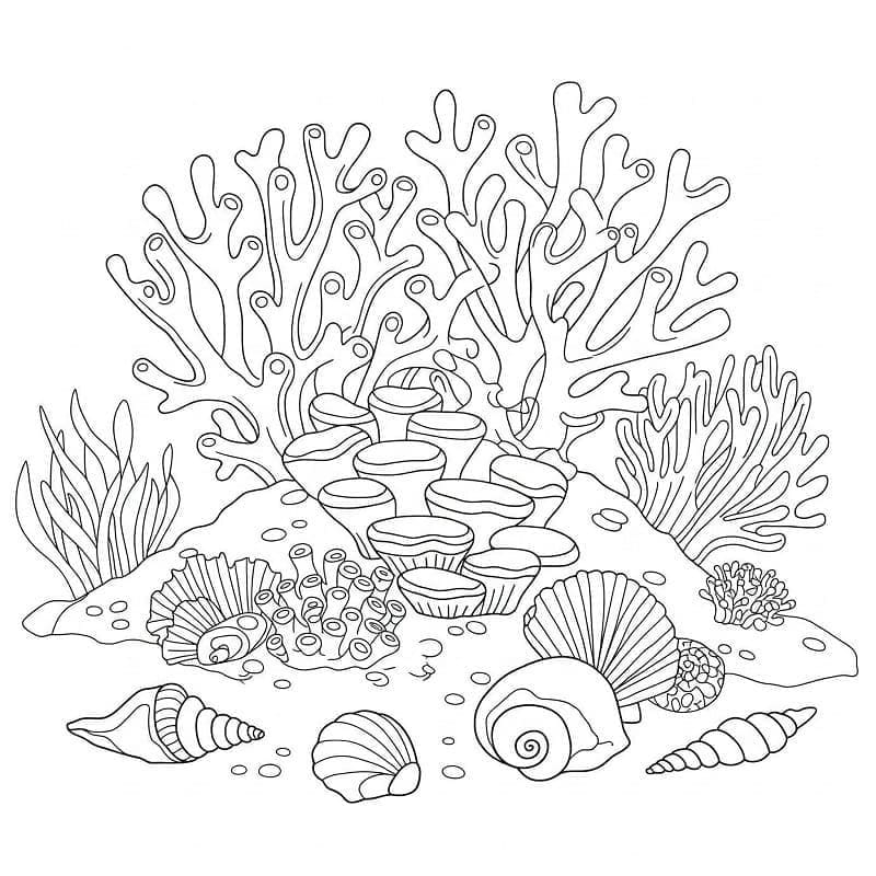 Fise de colorat cu Desenează Recif de corali imprimabil gratuit bazic