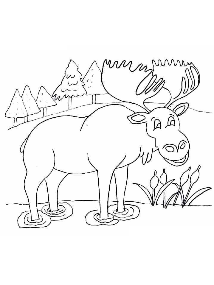 Fise de Colorat cu Elan bazic la copii