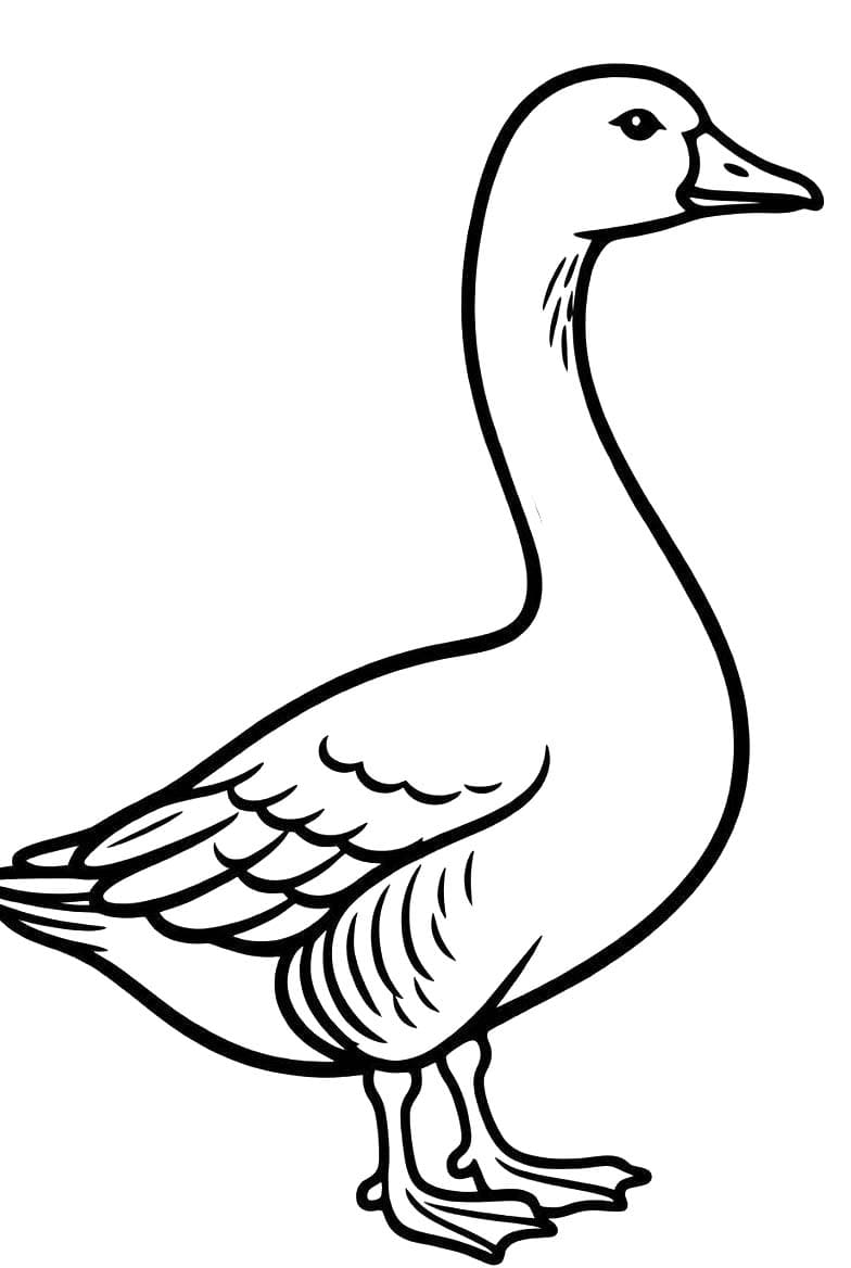 Fise de Colorat cu Gaste imprimabil gratuit uşor