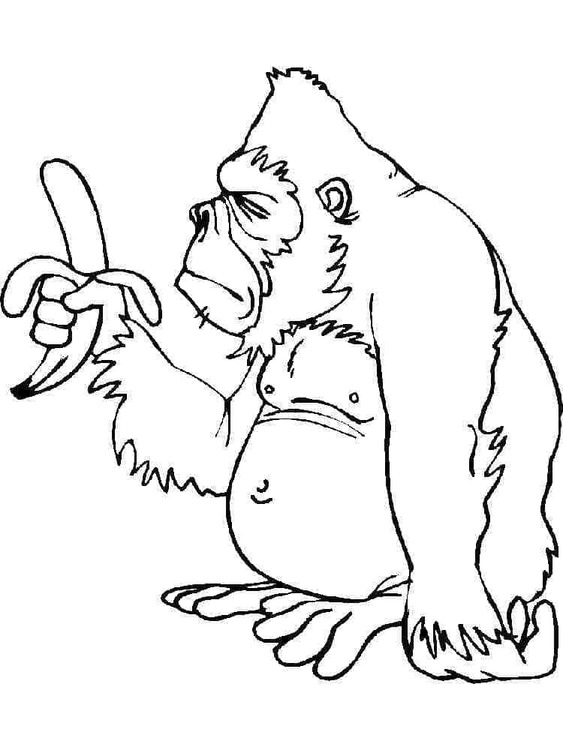 Fise de colorat cu Gorila imprimabil gratuit uşor