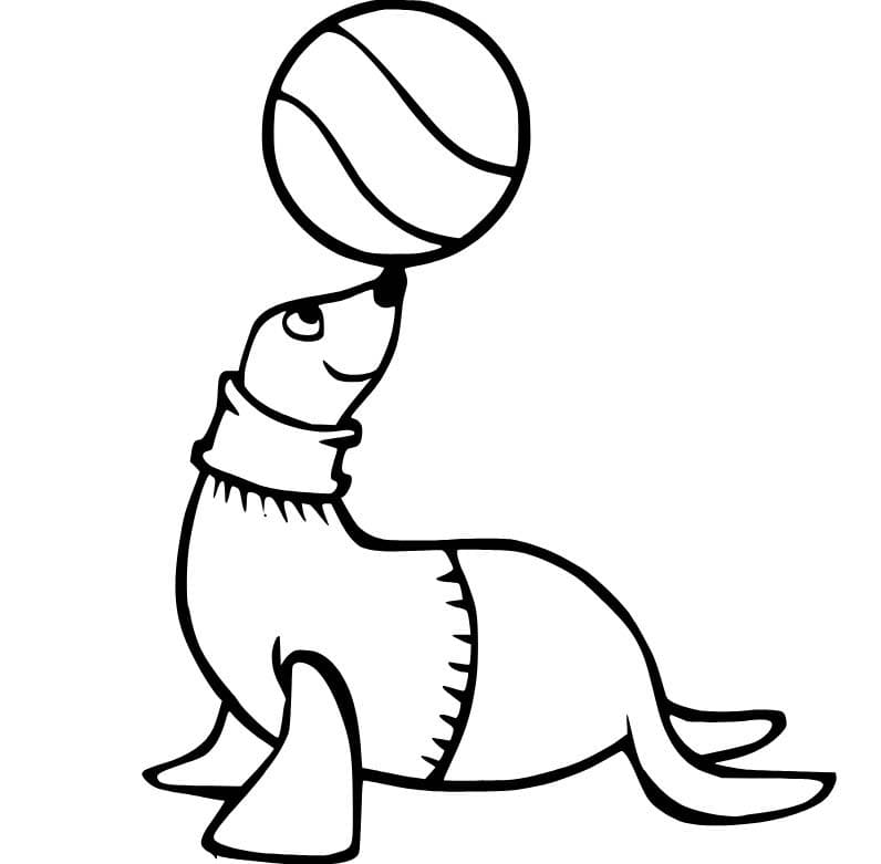 Fise de colorat cu Leu de Mare bazic la copii