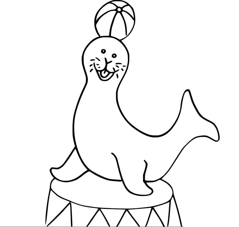 Fise de colorat cu Leu de Mare gratuit bazic