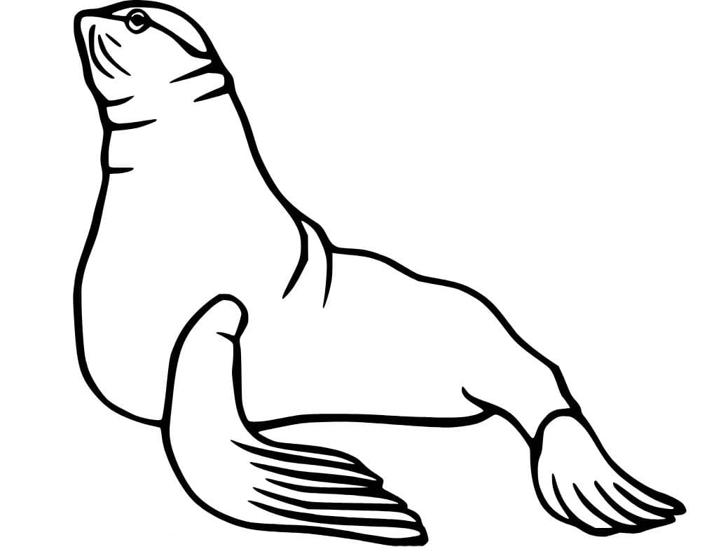 Fise de colorat cu Leu de Mare gratuit simplu