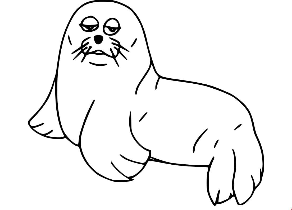 Fise de colorat cu Leu de Mare imprimabil gratuit bazic