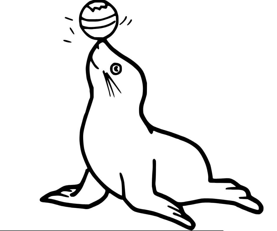 Fise de colorat cu Leu de Mare imprimabil gratuit simplu