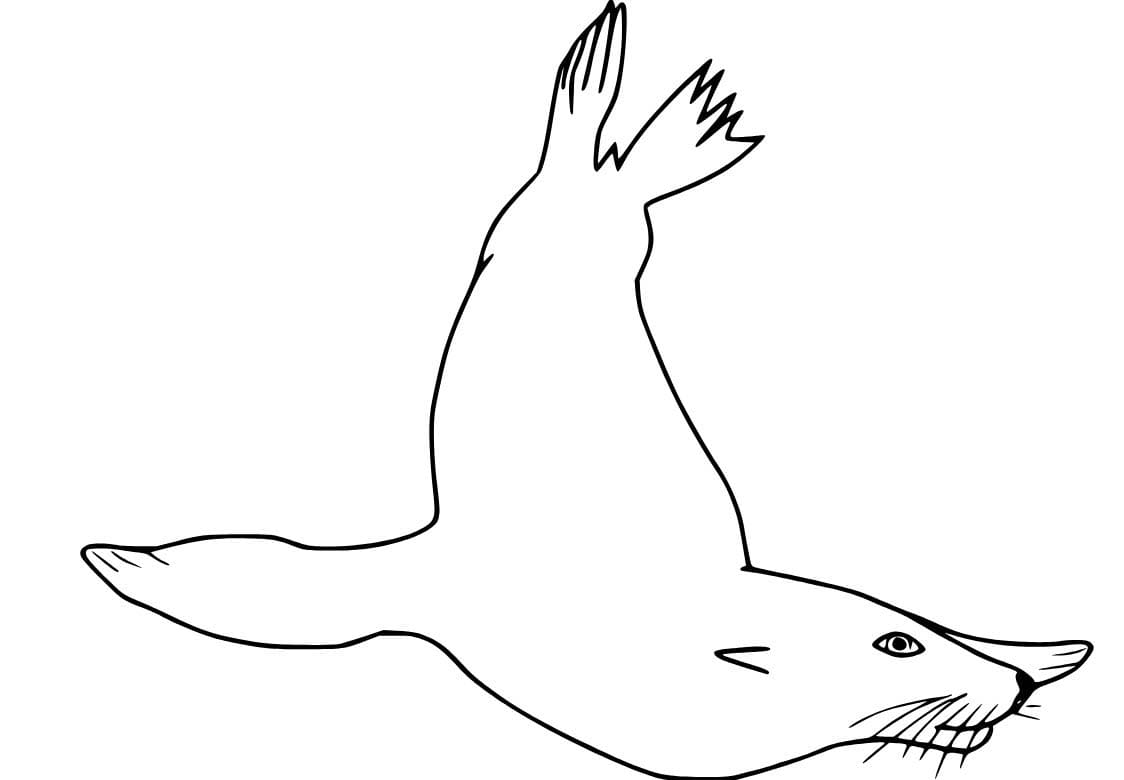 Fise de colorat cu Leu de Mare imprimabil gratuit uşor