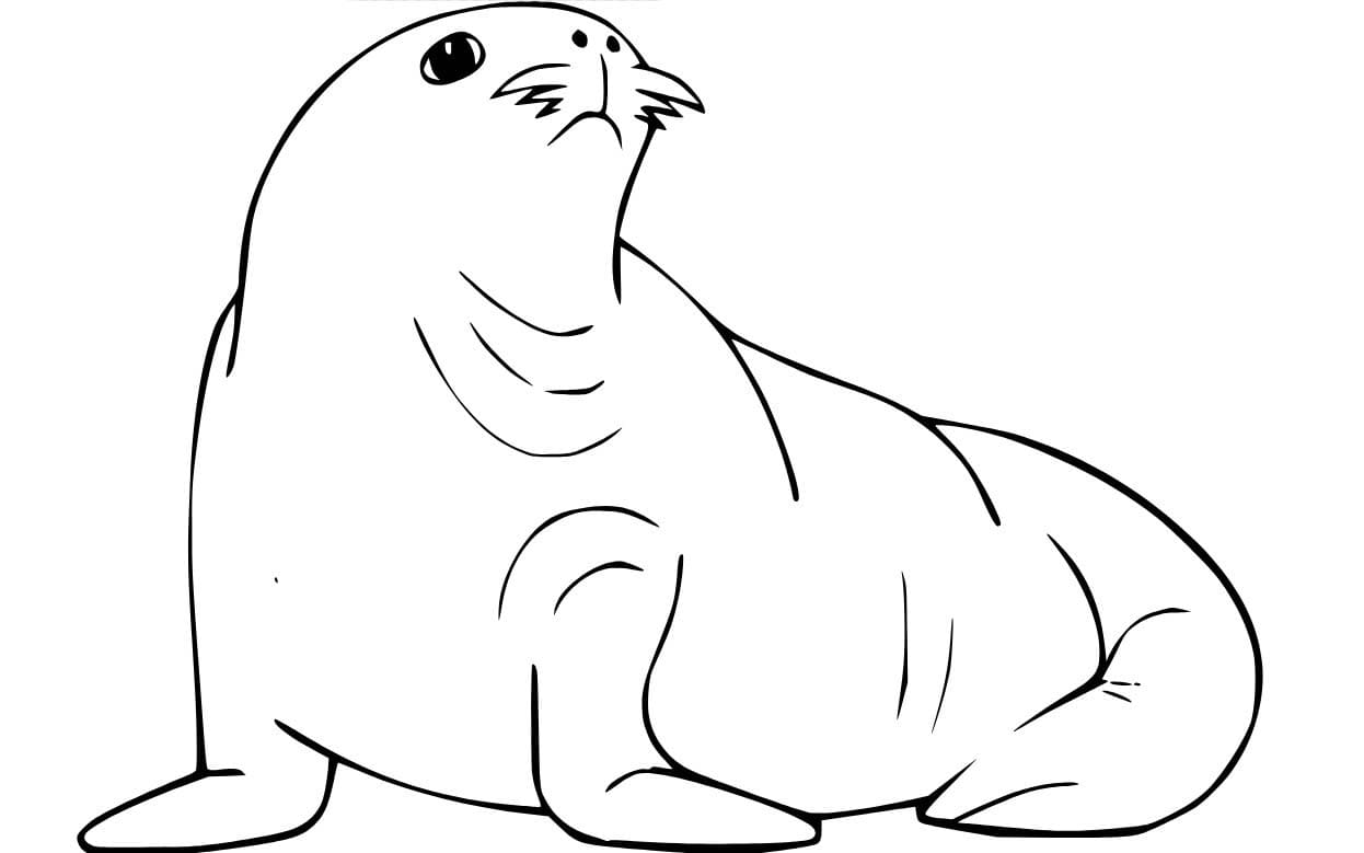 Fise de colorat cu Leu de Mare simplu la copii